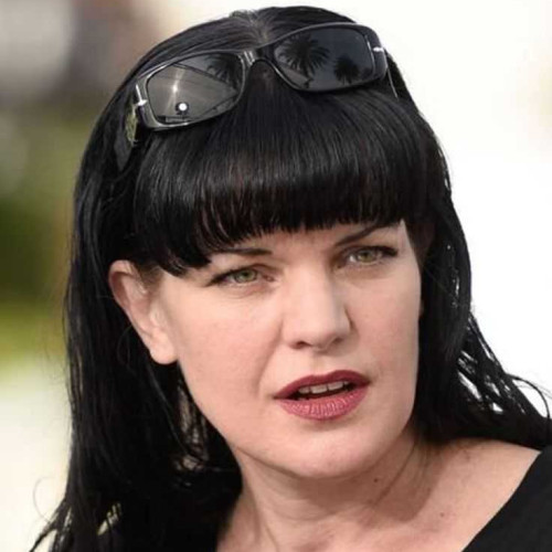 Pauley P. profile photo
