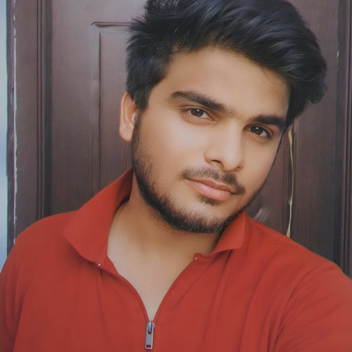 Koushik K.
