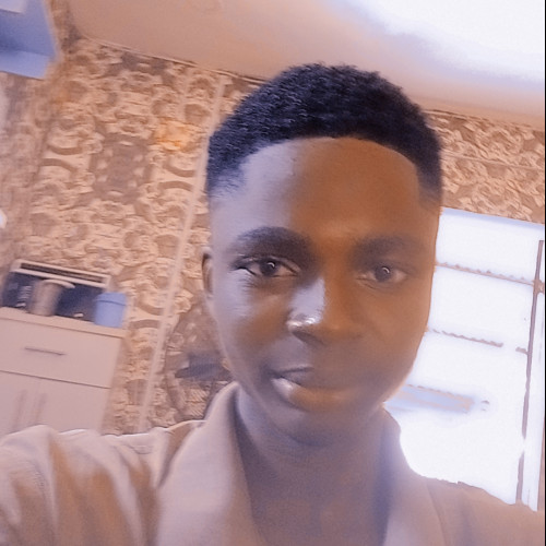 Emmanuel  O. profile photo