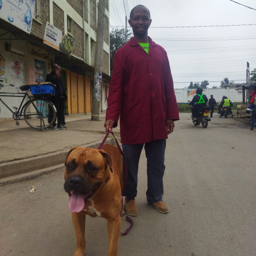 simon m. profile photo