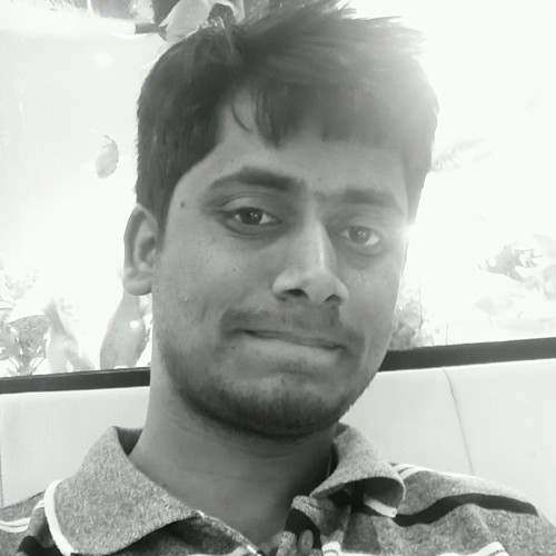Praveen  K.