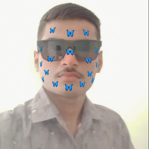 Raj T.