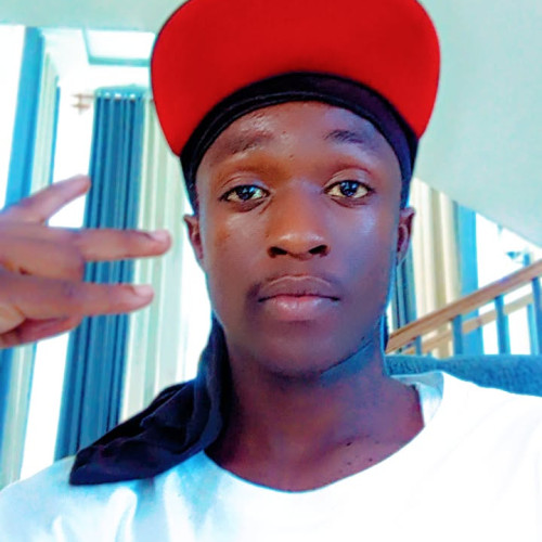 santoz D. profile photo