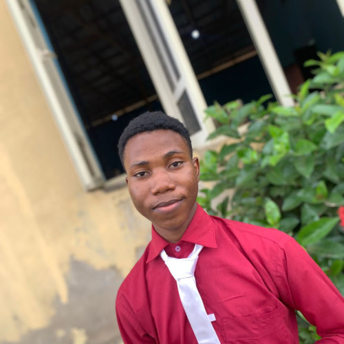 Olawale M. profile photo
