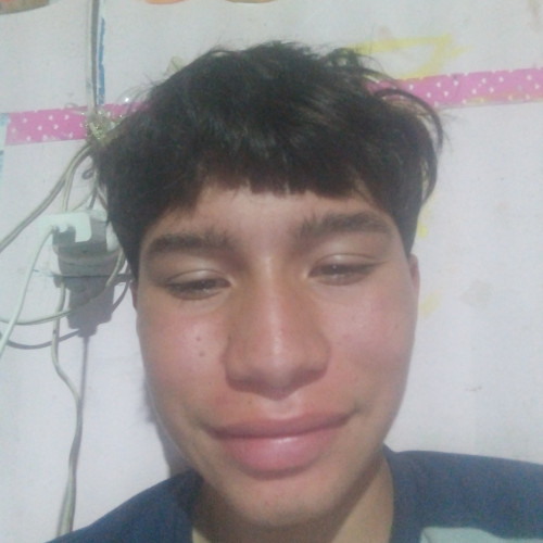 Daniel  C. profile photo