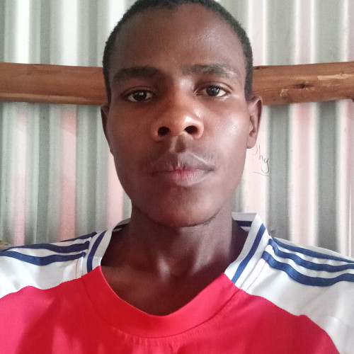 Elvis K. profile photo