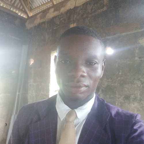 Munachi  S. profile photo