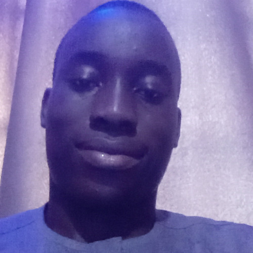 Akinfolayemi  M. profile photo