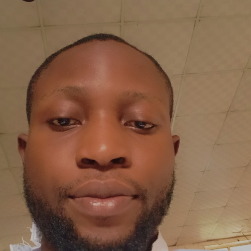 segun M. profile photo