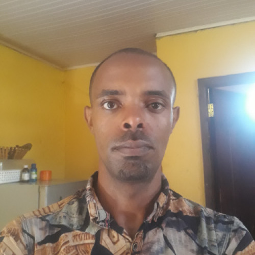 Henok B. profile photo