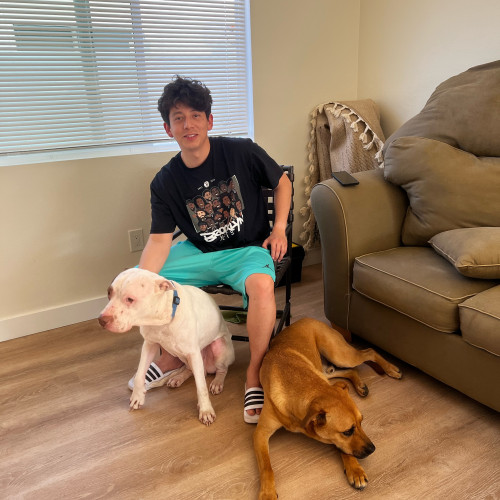 Luis  G. profile photo