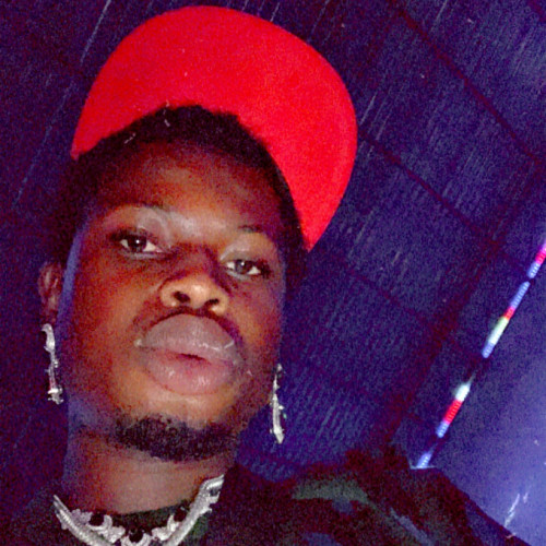 Olamilekan O. profile photo