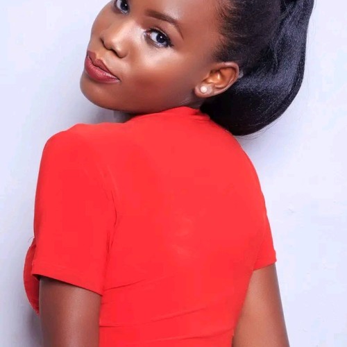 Pasha M. profile photo