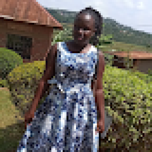 Immy D. profile photo