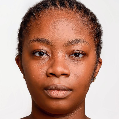 Chidiebere N.