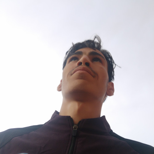 Oualid M.
