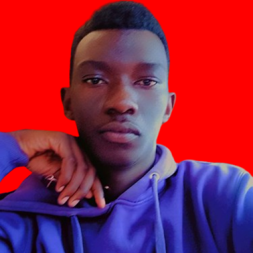Vincius M. profile photo