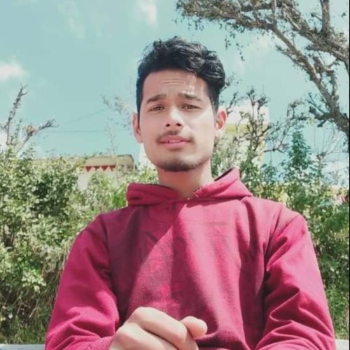 Avinash N.