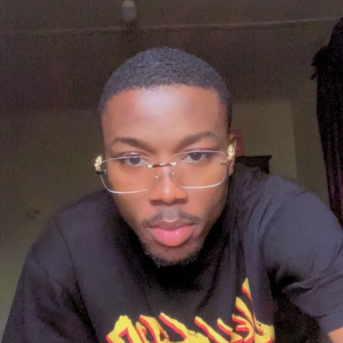 festus n. profile photo
