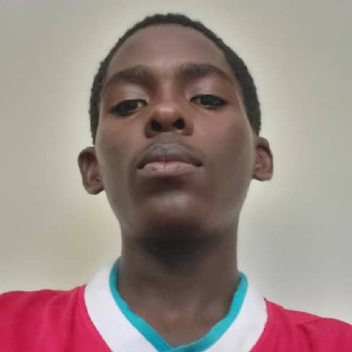 Aineplan S. profile photo