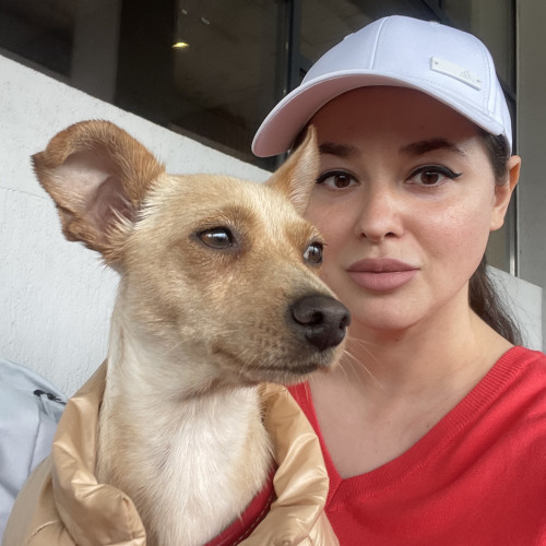 Antonia P. profile photo