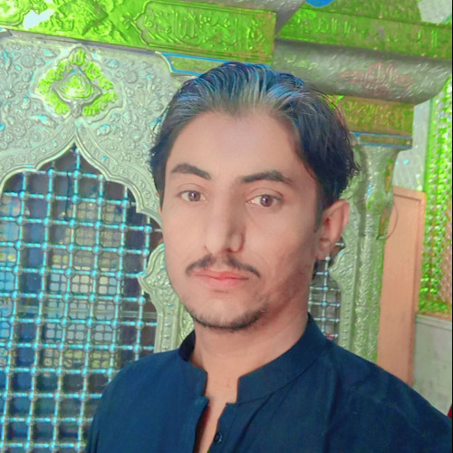 Qamardeen D. profile photo