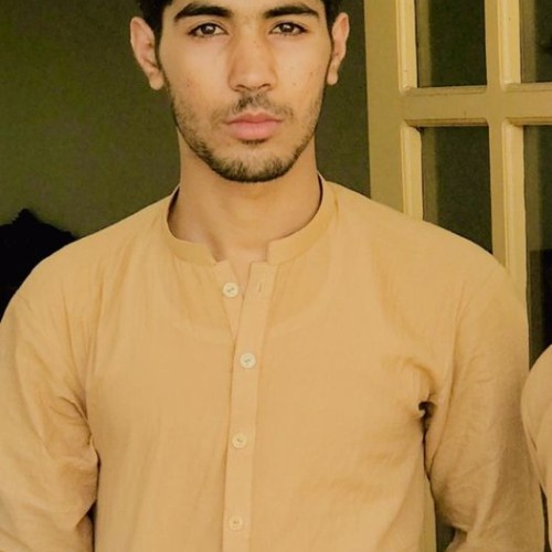 Shah F.