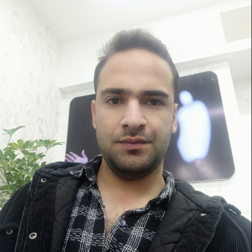 hamid n. profile photo