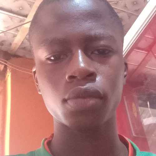 opeyemi o. profile photo