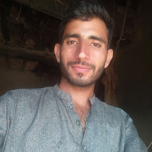 Muhammad S. profile photo