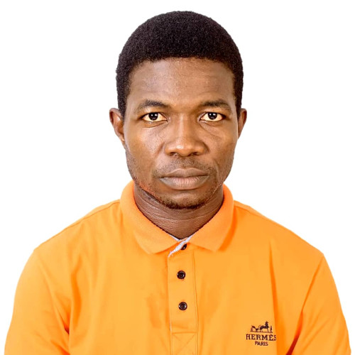 oyelowo a. profile photo