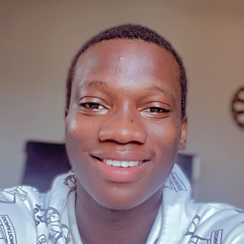 Chinemerem E. profile photo