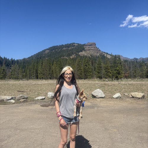 Amy M. profile photo