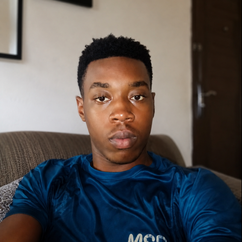 Ifeanyichukwu D. profile photo