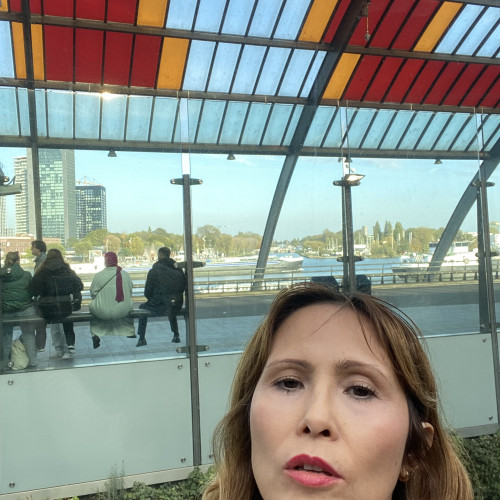 Monica H. profile photo