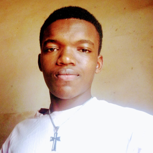 Godwin  O. profile photo
