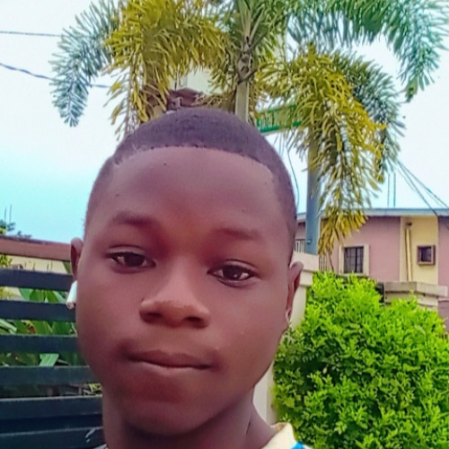 Omotayo  A. profile photo