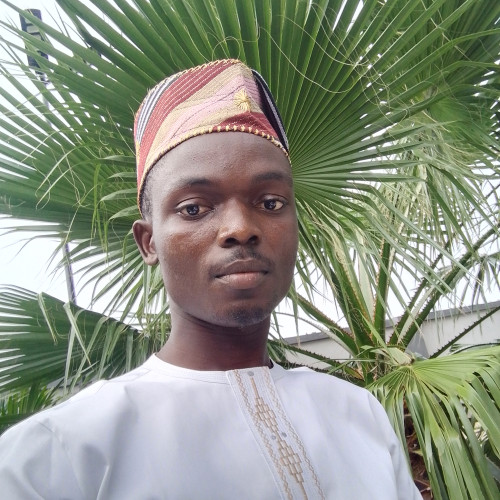 toheeb  o. profile photo