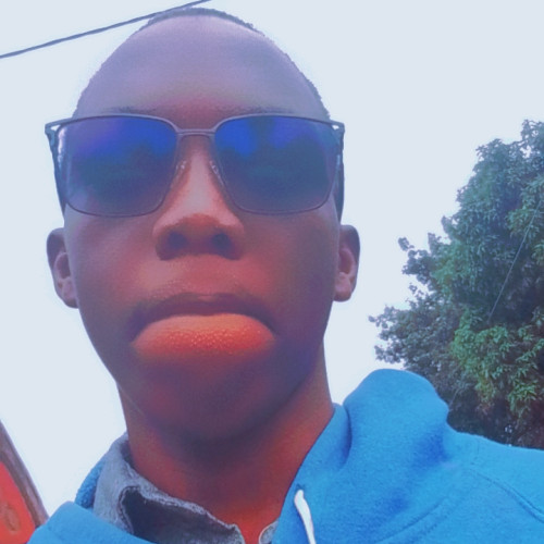 Havie H. profile photo