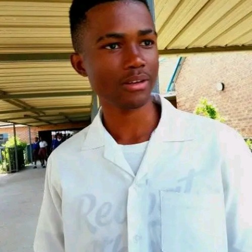 Steven  N. profile photo