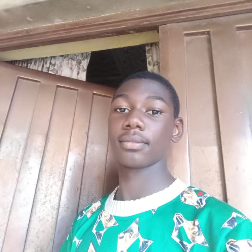 Oshunyinka D. profile photo