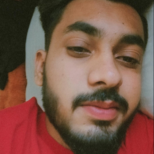 Hitesh P. profile photo