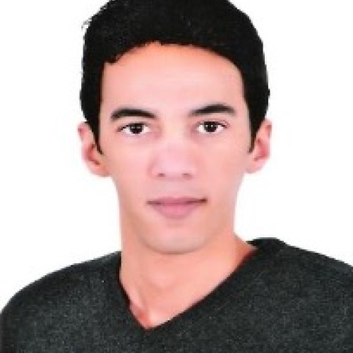 Mostafa S. profile photo