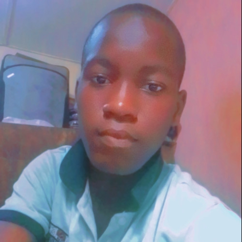 Muqodim  A. profile photo