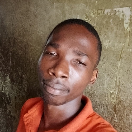 noel c. profile photo