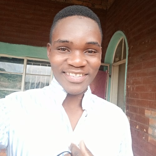spaca  D. profile photo
