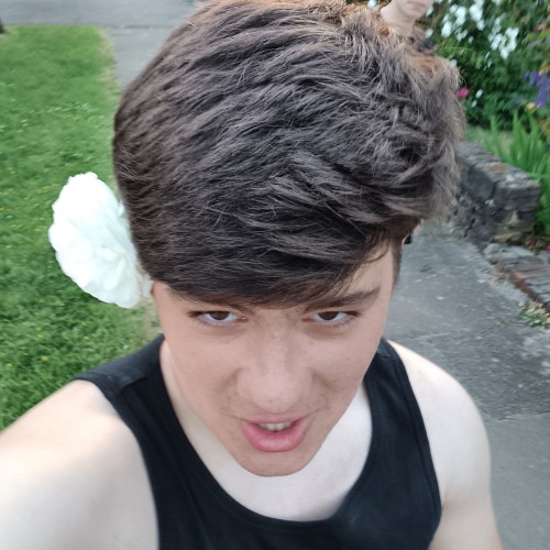 Alex D.