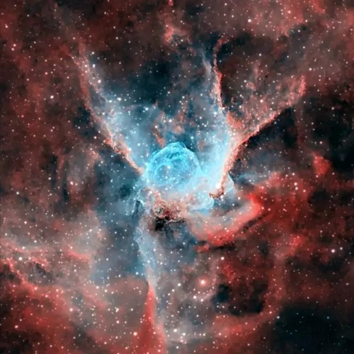 bougra N. profile photo