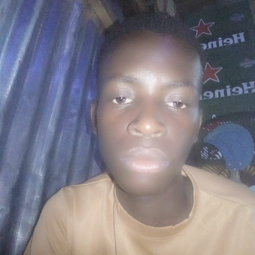 Ignatius C. profile photo