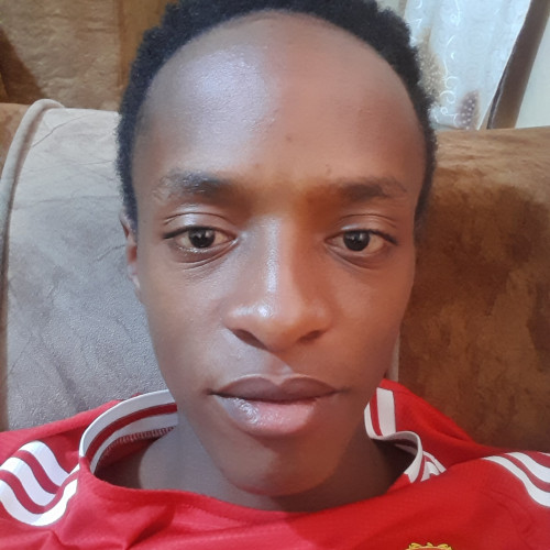 harun j. profile photo